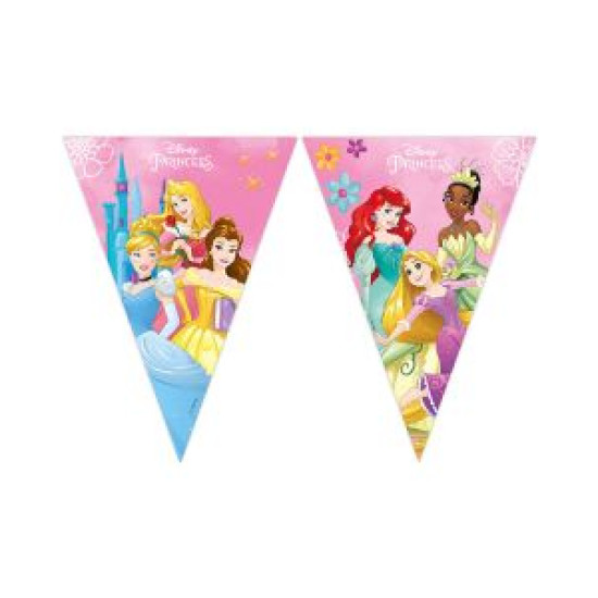 PRINCESS LIVE YOUR STORY PPR TRIANGLE FLAG BANNER