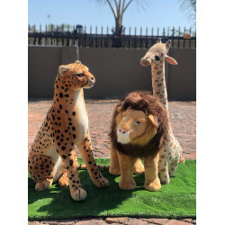 Soft  Animals For Hire- Giraffe, Lion, Cheetah
