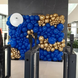 Organic Balloon Wall