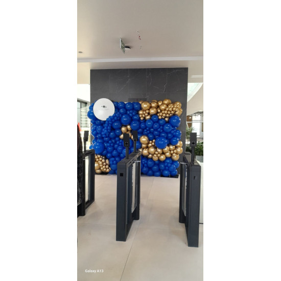 Organic Balloon Wall