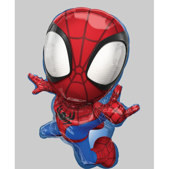 Spidey & His Amazing Friends