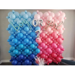 Gender Reveal Link Wall 2x2m