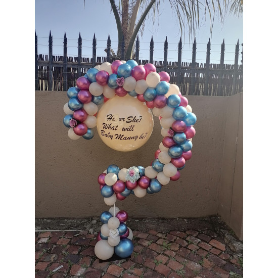 Gender Reveal Question Mark 