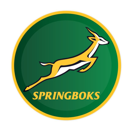 Springboks Paper Plates 23cm- 8 plates